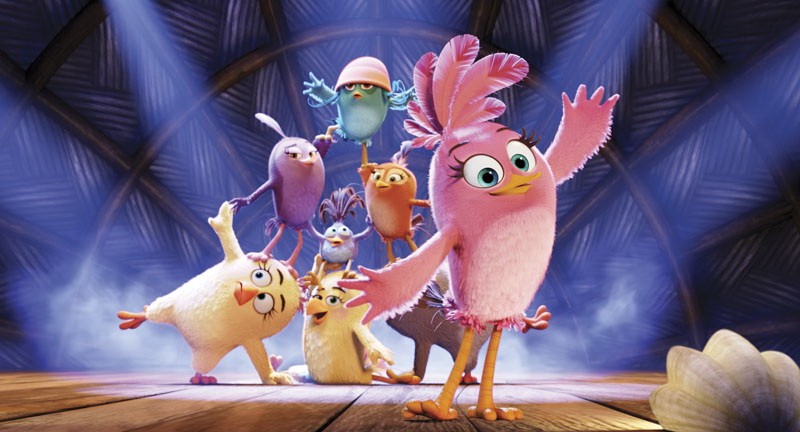 Angry Birds в кино: кадр N122177