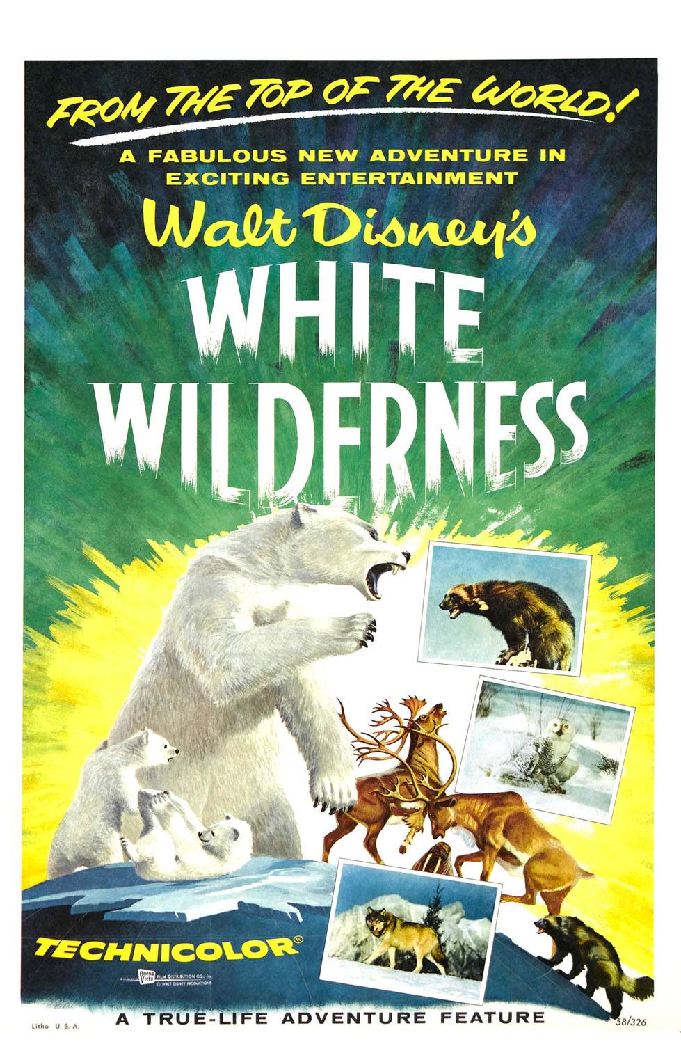Белая пустошь / White Wilderness (1958) отзывы. Рецензии. Новости кино. Актеры фильма Белая пустошь. Отзывы о фильме Белая пустошь