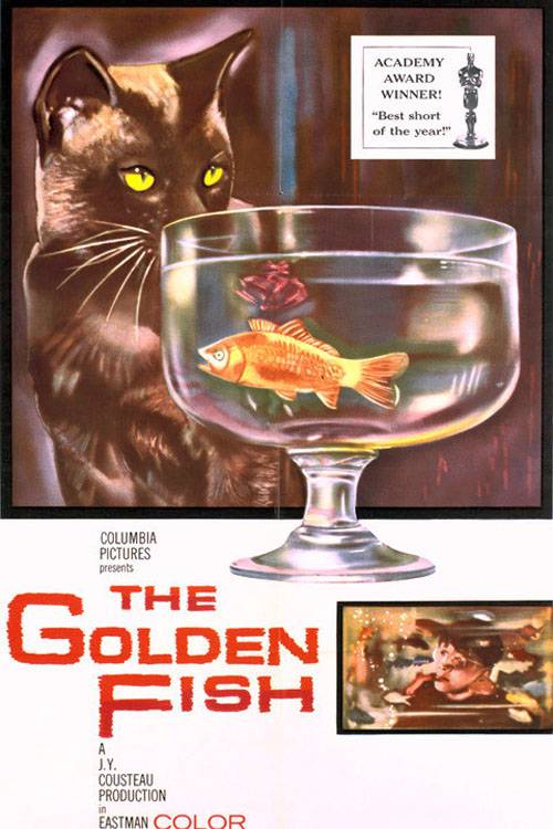 История золотой рыбки: постер N111516