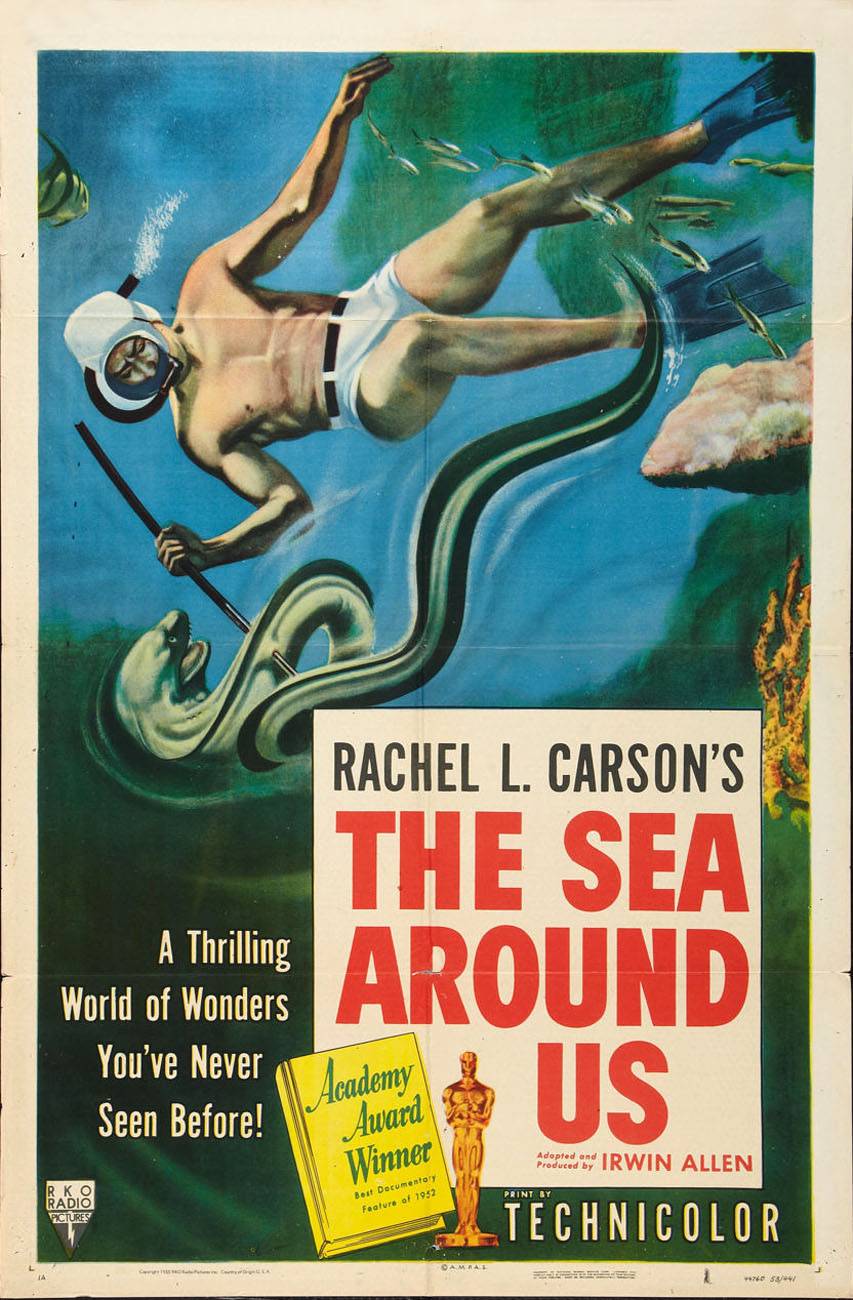 Море вокруг нас / The Sea Around Us (1953) отзывы. Рецензии. Новости кино. Актеры фильма Море вокруг нас. Отзывы о фильме Море вокруг нас