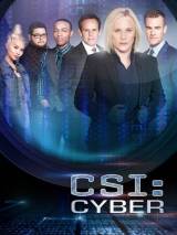 Превью постера #100275 к фильму "CSI: Киберпространство" (2015)