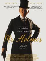 Превью постера #105001 к фильму "Мистер Холмс" (2015)