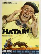 Превью постера #113050 к фильму "Хатари!" (1962)