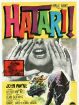 Превью постера #113054 к фильму "Хатари!"  (1962)