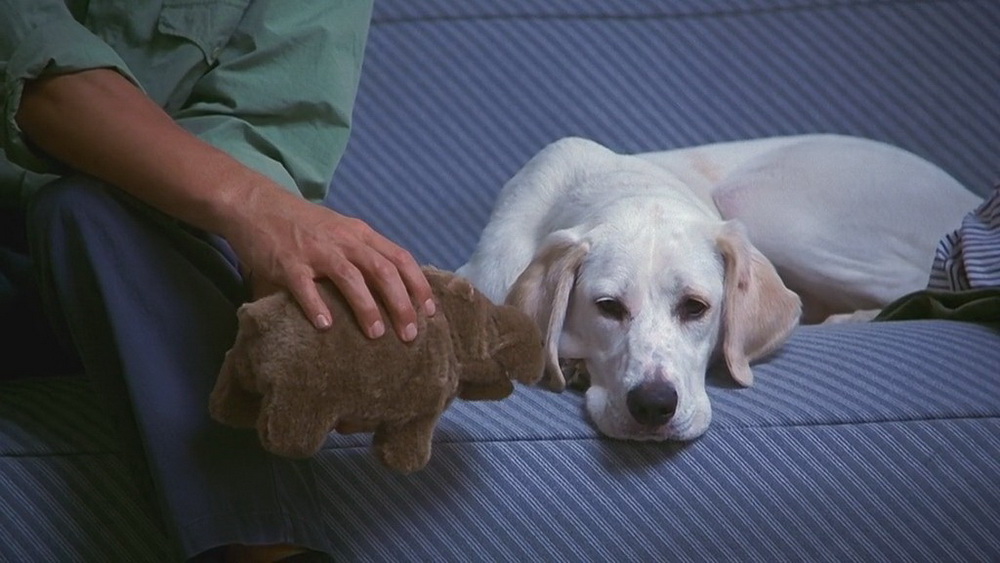 Фильм Непристойное предложение (1993). Кадр N98675