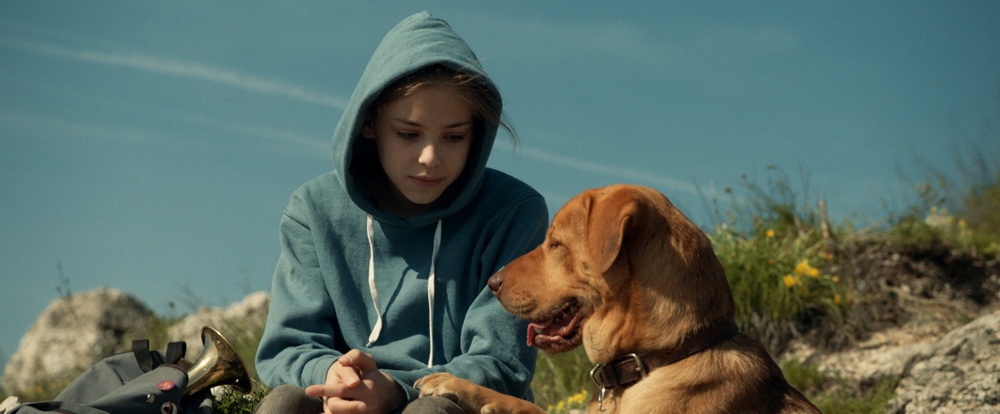 Фильм Белый Бог (2014). Кадр N98788