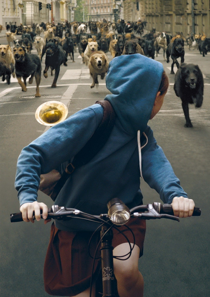 Фильм Белый Бог (2014). Кадр N98791