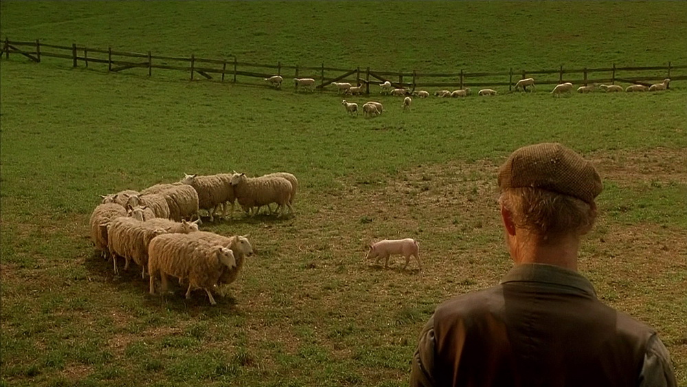 Фильм Бэйб: Четвероногий малыш (1995). Кадр N100226