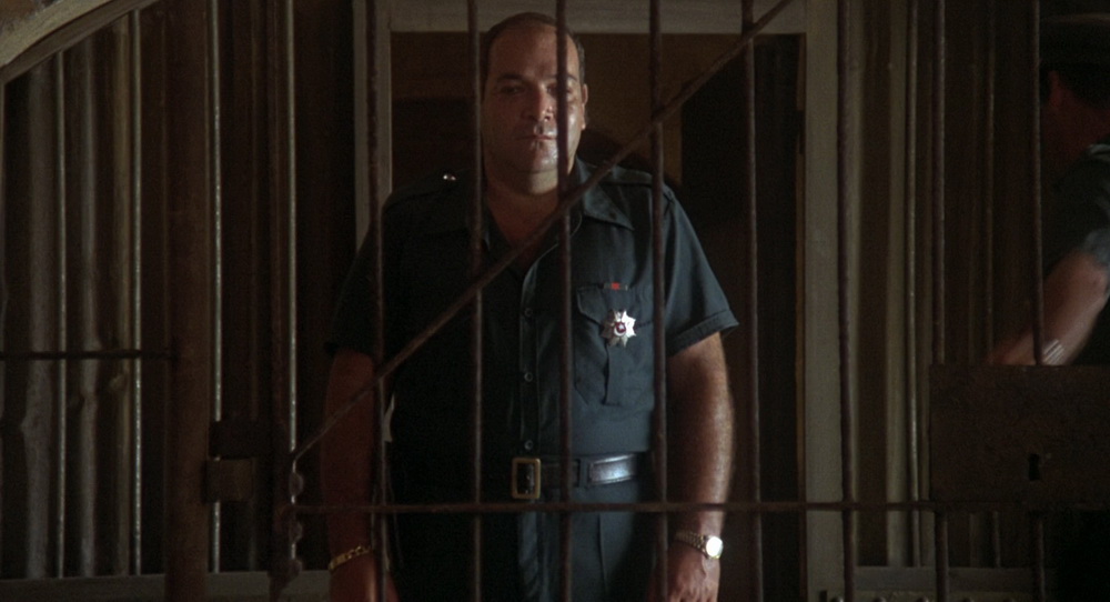 Фильм Полуночный экспресс (1978). Кадр N103400
