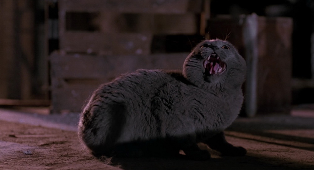 Фильм Человек тьмы (1990). Кадр N103491