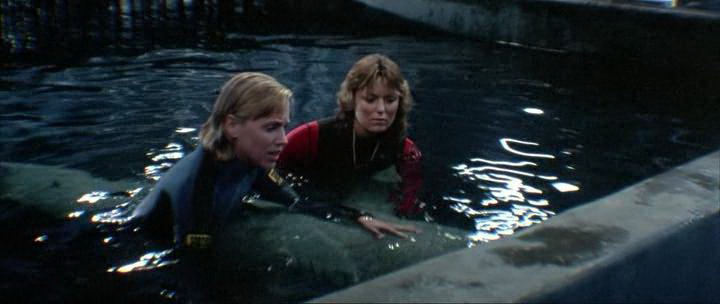 Фильм Челюсти 3 (1983). Кадр N110296