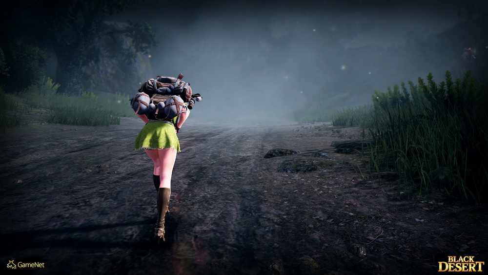 Игра Black Desert (2015). Скриншот N110381
