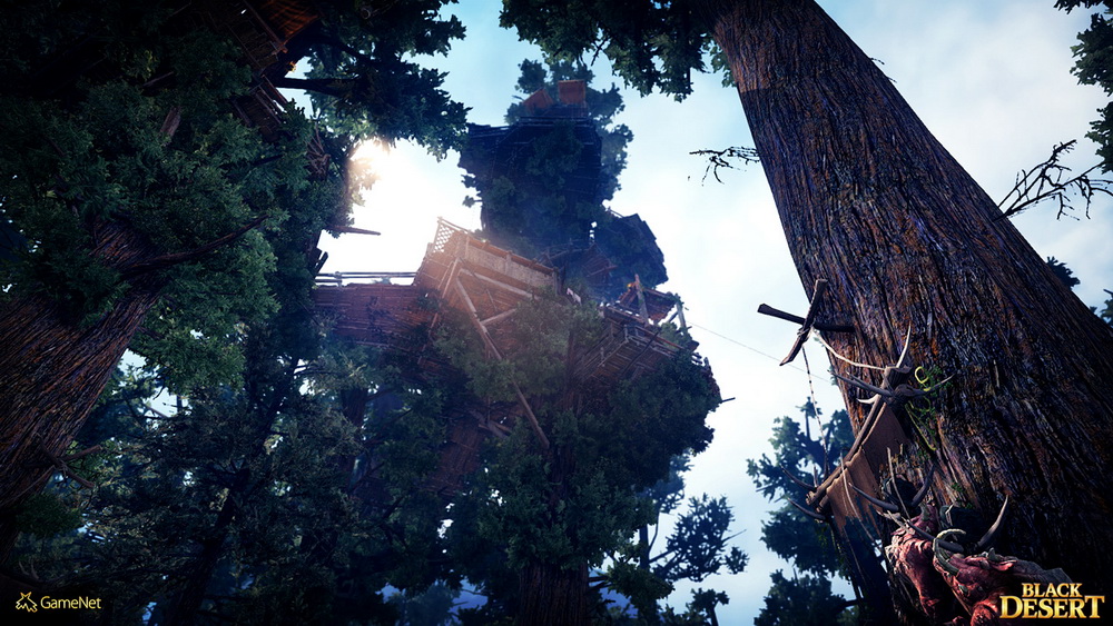 Игра Black Desert (2015). Скриншот N110369