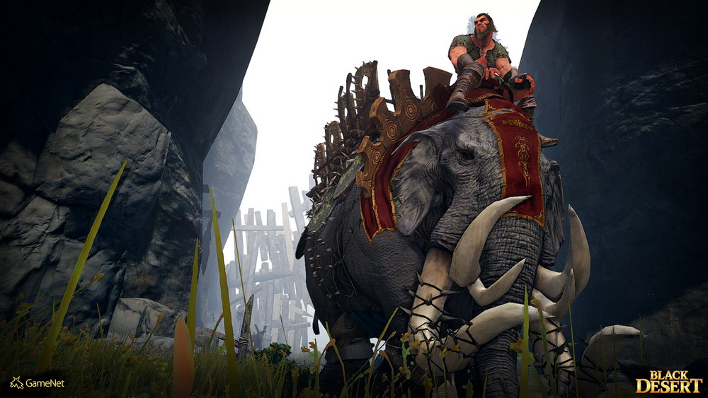 Игра Black Desert (2015). Скриншот N110396