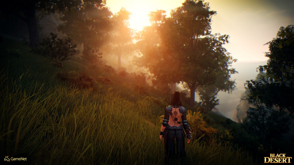 Игра Black Desert (2015). Скриншот N110372