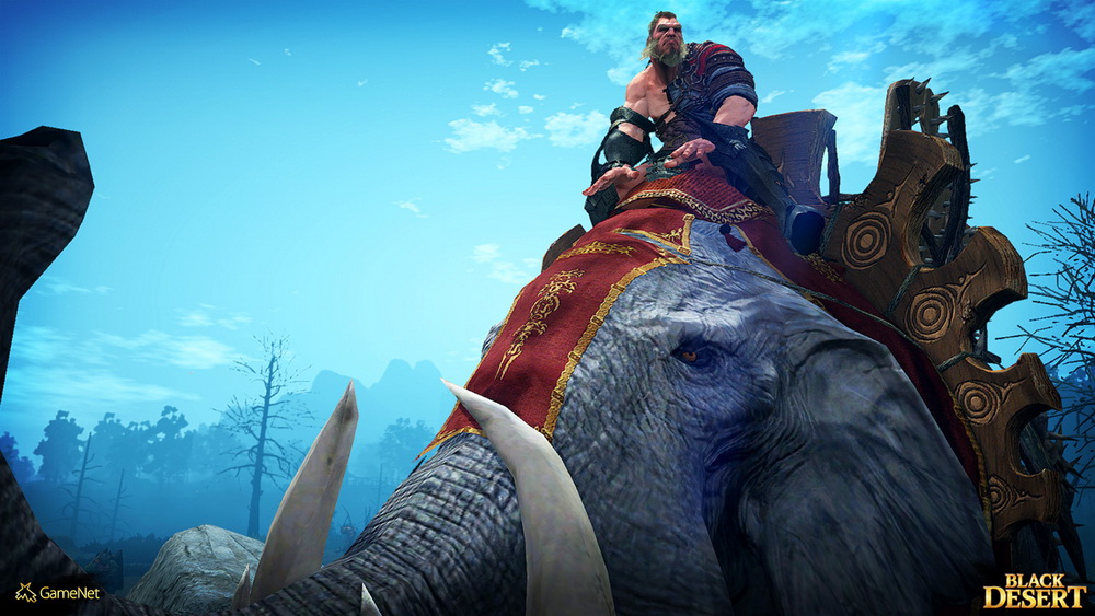 Игра Black Desert (2015). Скриншот N110427