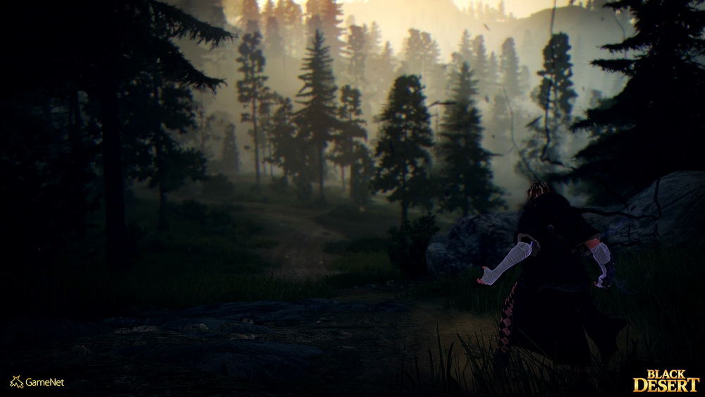 Игра Black Desert (2015). Скриншот N110429