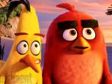 Превью кадра #108683 из мультфильма "Angry Birds в кино"  (2016)