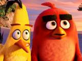 Превью кадра #109250 из мультфильма "Angry Birds в кино"  (2016)