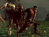 Превью скриншота #110629 из игры "Dragon Age: Начало"  (2009)