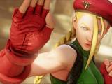 Превью скриншота #111539 из игры "Street Fighter V"  (2016)