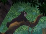Превью кадра #114306 из мультфильма "Книга джунглей 2"  (2003)
