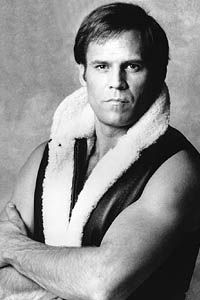 Дон Страуд (Don Stroud)
