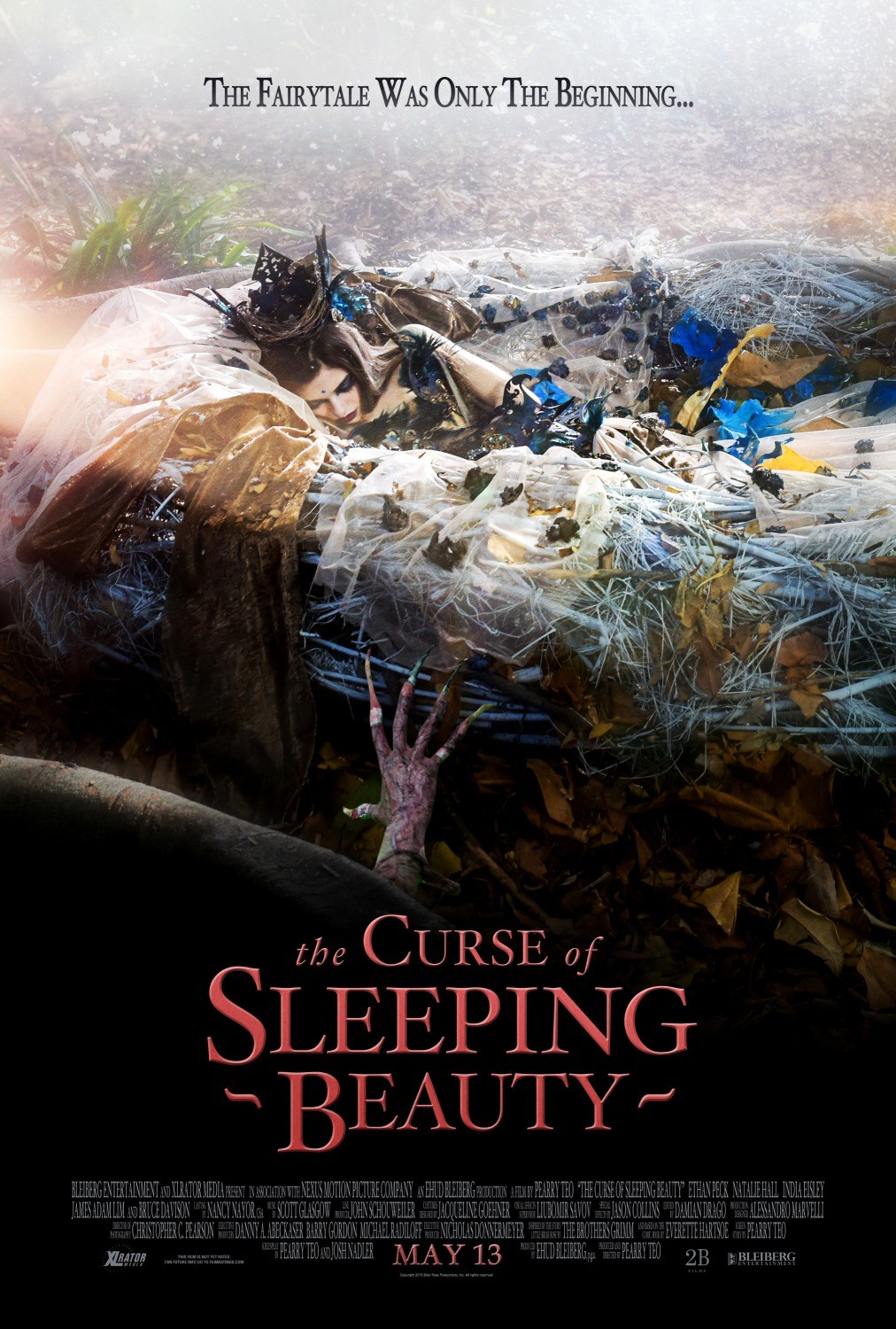 Проклятие Спящей красавицы: постер N119087