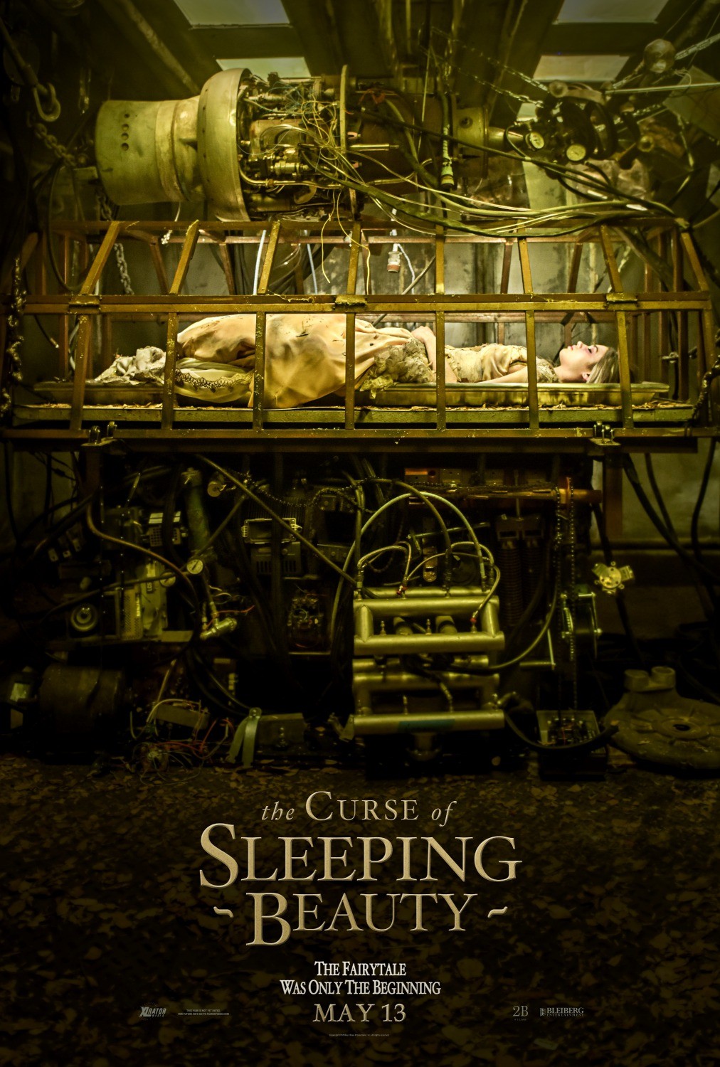 Проклятие Спящей красавицы: постер N119088