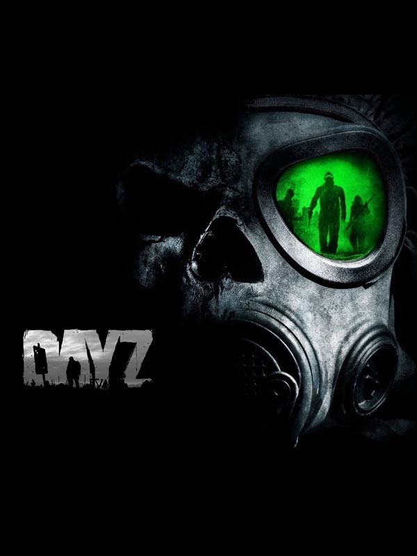 DayZ: постер N120147