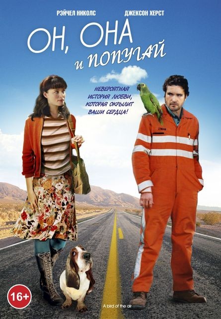 Он, она и попугай / A Bird of the Air (2011) отзывы. Рецензии. Новости кино. Актеры фильма Он, она и попугай. Отзывы о фильме Он, она и попугай