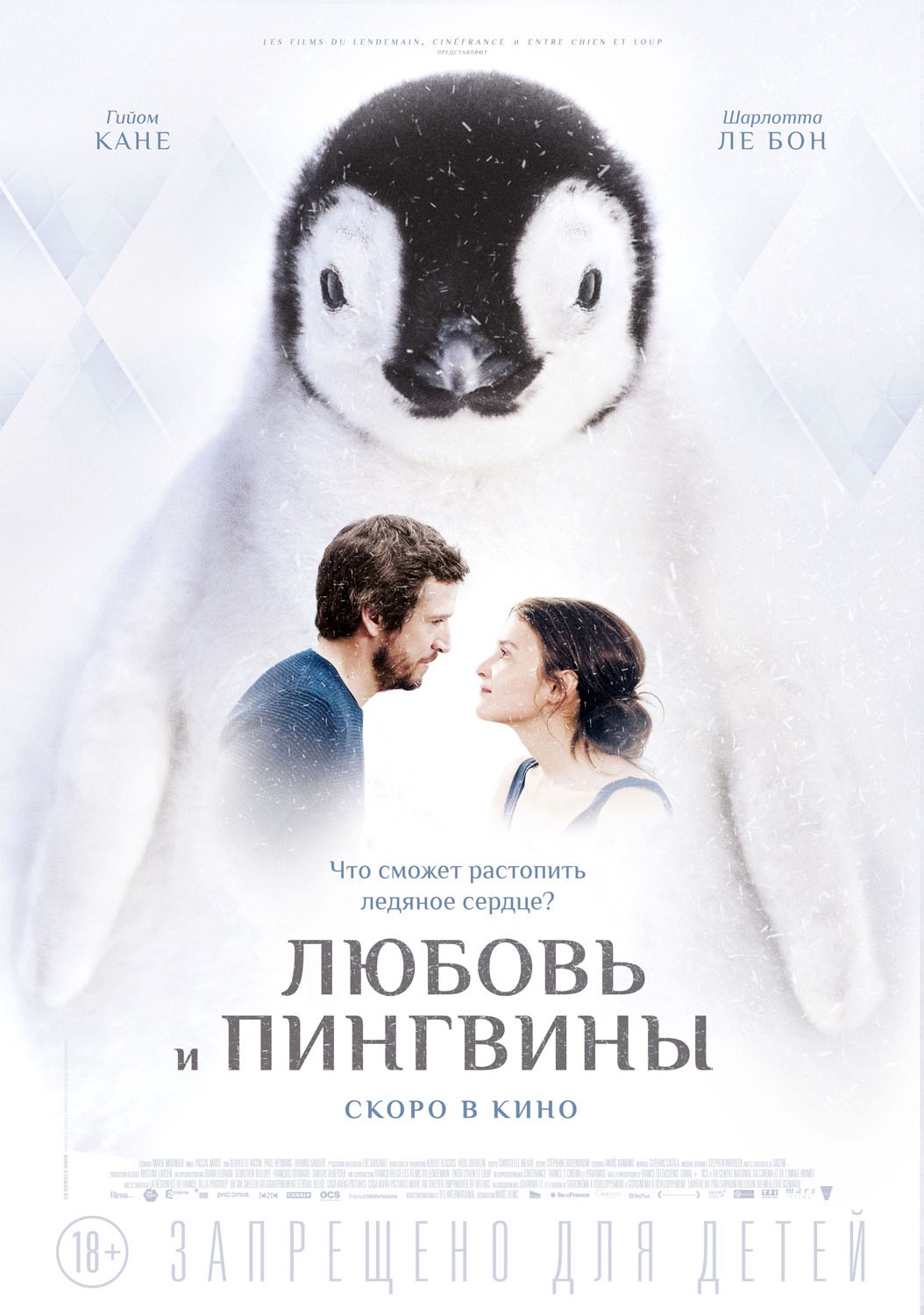 Любовь и пингвины / Le secret des banquises (2016) отзывы. Рецензии. Новости кино. Актеры фильма Любовь и пингвины. Отзывы о фильме Любовь и пингвины