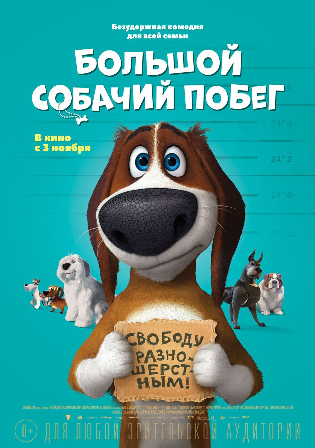 Большой собачий побег: постер N128284