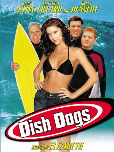 Сорви-головы / Dish Dogs (2000) отзывы. Рецензии. Новости кино. Актеры фильма Сорви-головы. Отзывы о фильме Сорви-головы