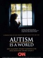 Аутизм - это мир