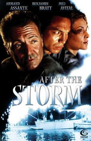 После шторма / After the Storm (2001) отзывы. Рецензии. Новости кино. Актеры фильма После шторма. Отзывы о фильме После шторма