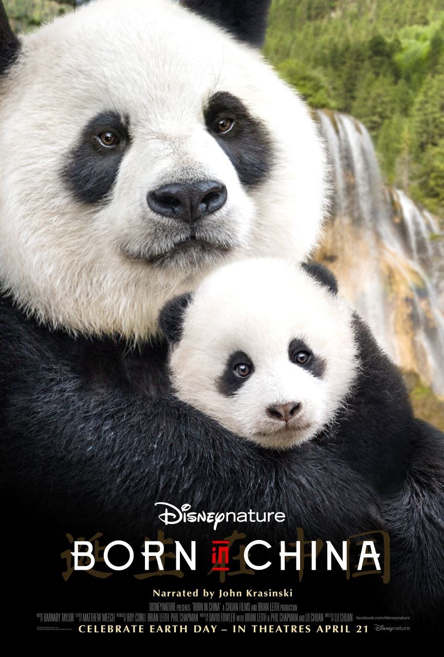 Рожденный в Китае: постер N131338