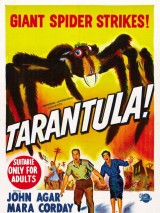 Превью постера #123863 к фильму "Тарантул" (1955)