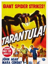 Превью постера #123863 к фильму "Тарантул"  (1955)
