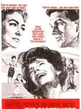 Превью постера #124702 к фильму "Сторож" (1963)