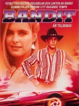 Превью постера #125816 к фильму "Бандит и бандит" (1994)
