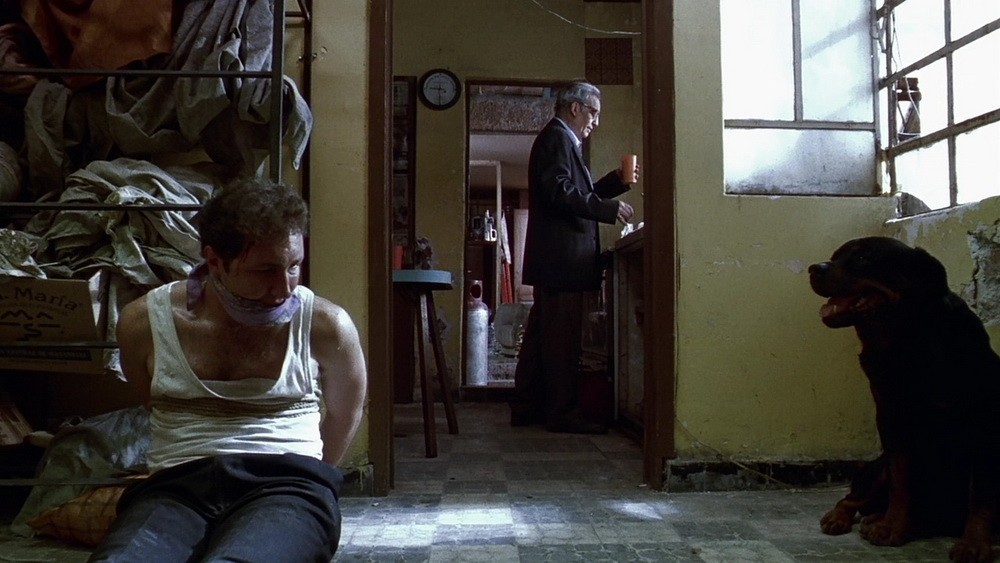 Фильм Сука любовь (2000). Кадр N121129