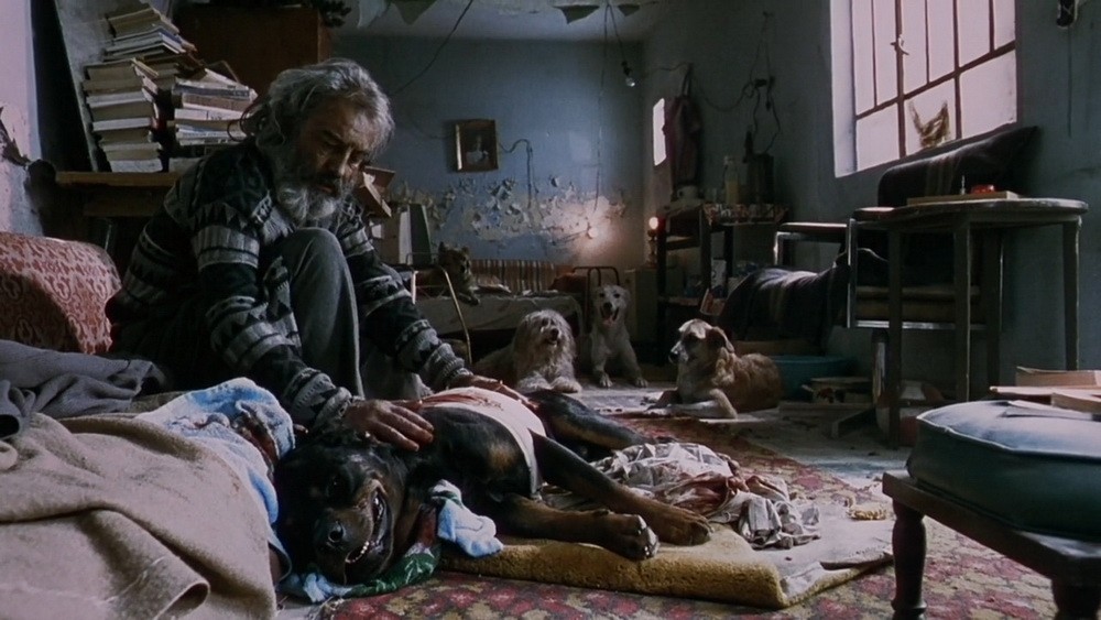 Фильм Сука любовь (2000). Кадр N121117