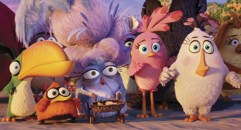 Angry Birds в кино: кадр N122161