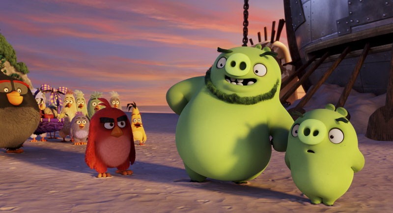 Фильм Angry Birds в кино (2016). Кадр N122165