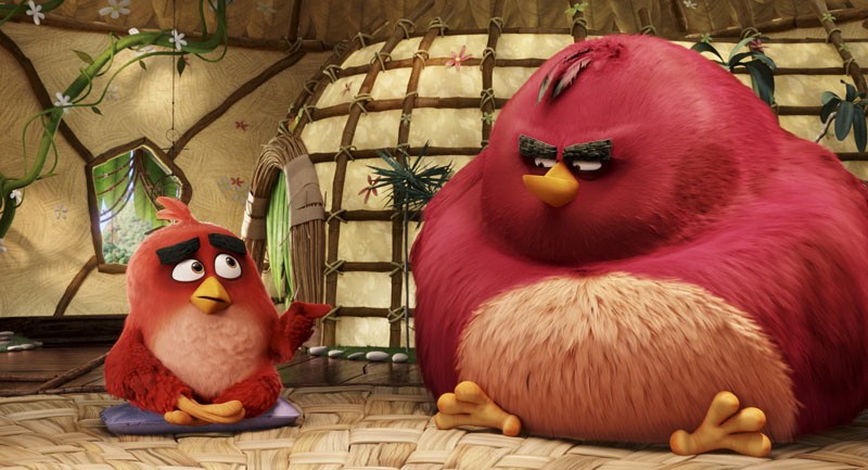 Фильм Angry Birds в кино (2016). Кадр N122166