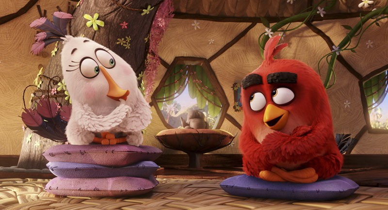 Фильм Angry Birds в кино (2016). Кадр N122167
