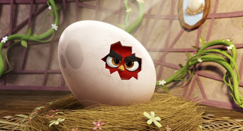 Фильм Angry Birds в кино (2016). Кадр N122178