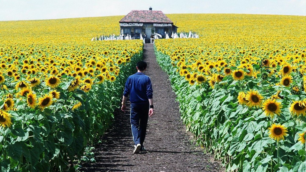 Фильм Свет вокруг (2005). Кадр N124220