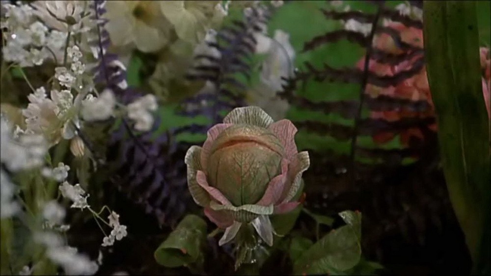 Фильм Магазинчик ужасов (1986). Кадр N124751